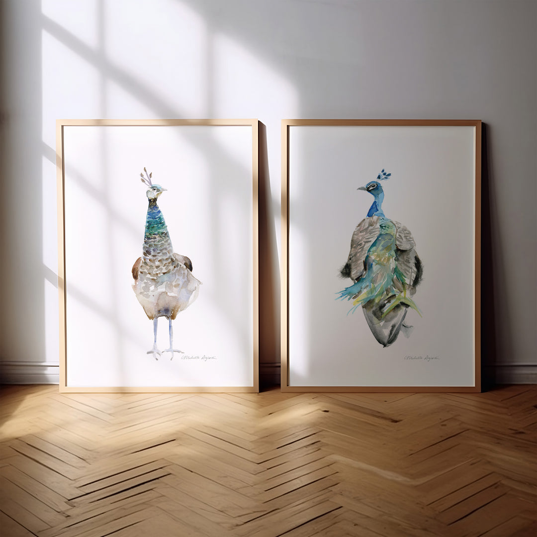 Two framed paintings of peacocks on a wall with sunlight casting shadows.