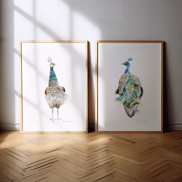 Two framed paintings of peacocks on a wall with sunlight casting shadows.