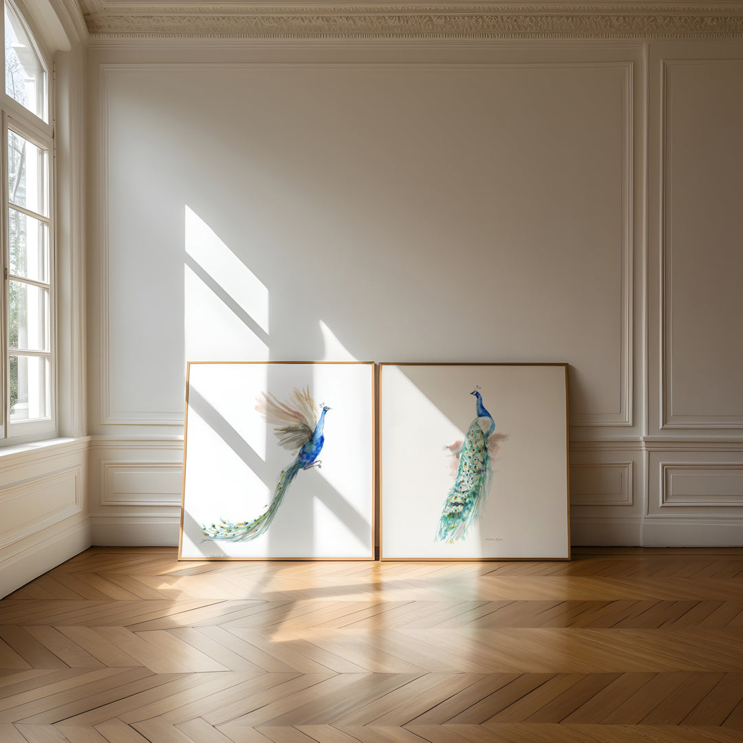 Two framed artworks of peacocks on a wall with sunlight casting shadows.