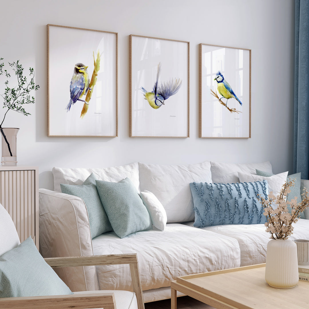 Set of 3 Blue Tit Bird Prints