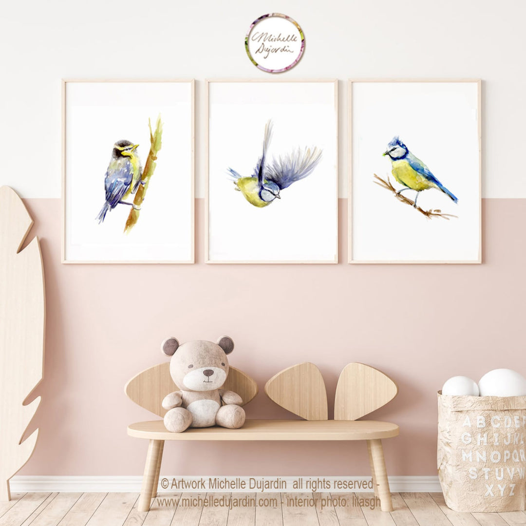 Set of 3 Blue Tit Bird Prints