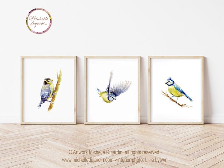 Set of 3 Blue Tit Bird Prints