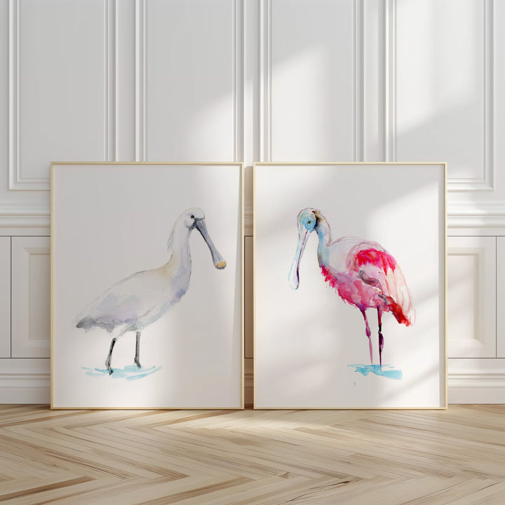 Two framed artworks of stylized spoonbill birds on a wall with wooden floor.