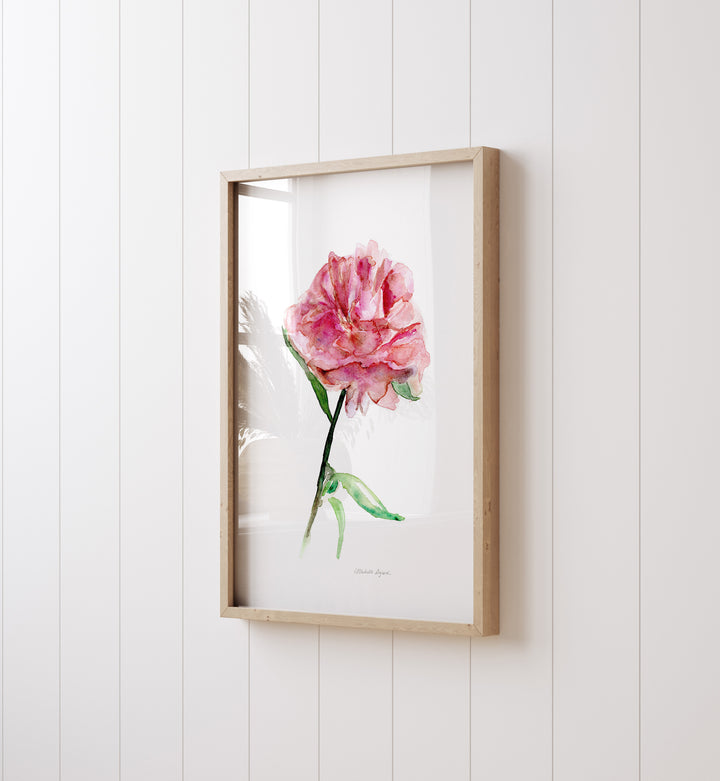 Pioenroos aquarel schilderij in lijst aan de muur