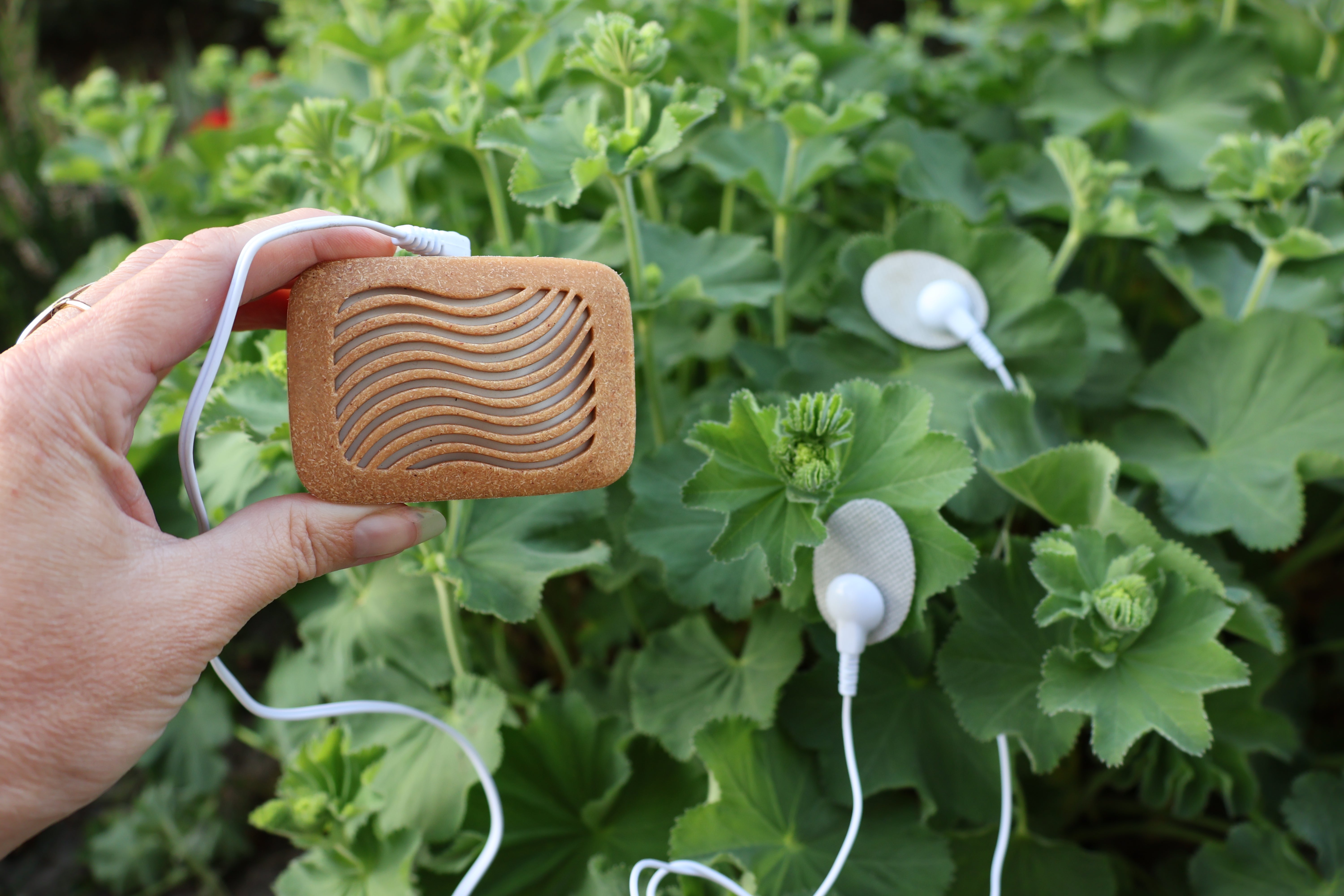 Discover Plant Music with Plantwave | Listen to Nature – Michelle
