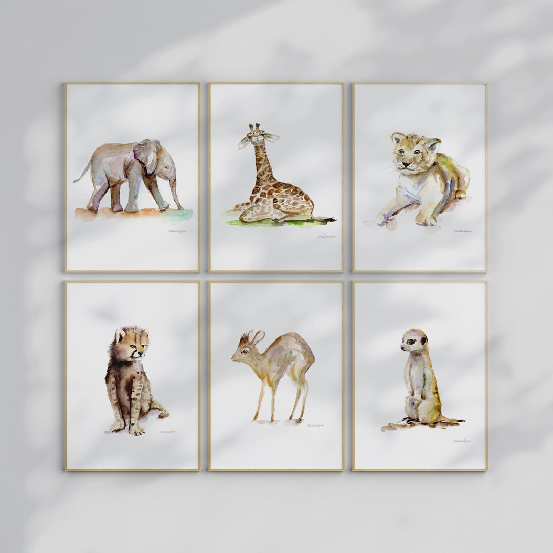 Safari art set video