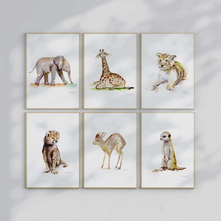 Safari art set video