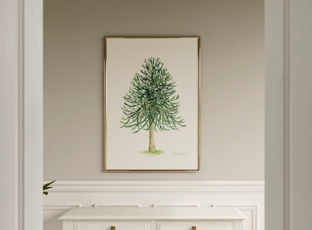 Monkey puzzle tree video