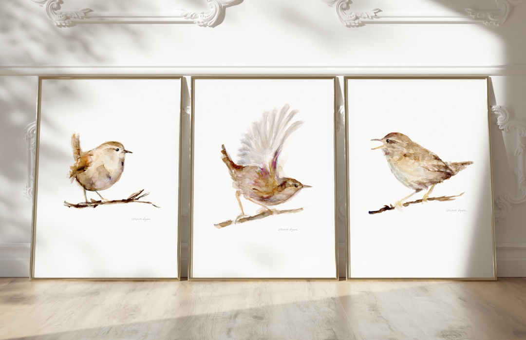 wren birds art video