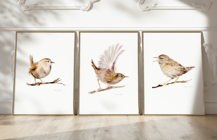wren birds art video