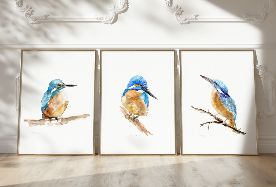 Kingfisher art print video