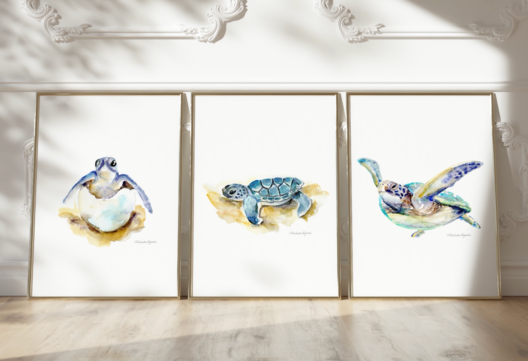 zeeschildpadden kunst video