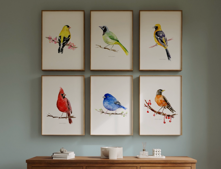 Colorful American bird species art