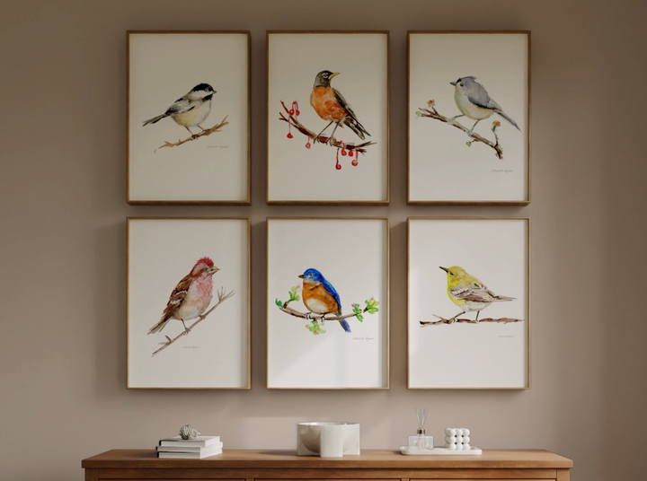 American bird species