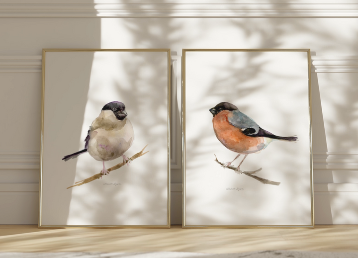 bullfinches art prints video