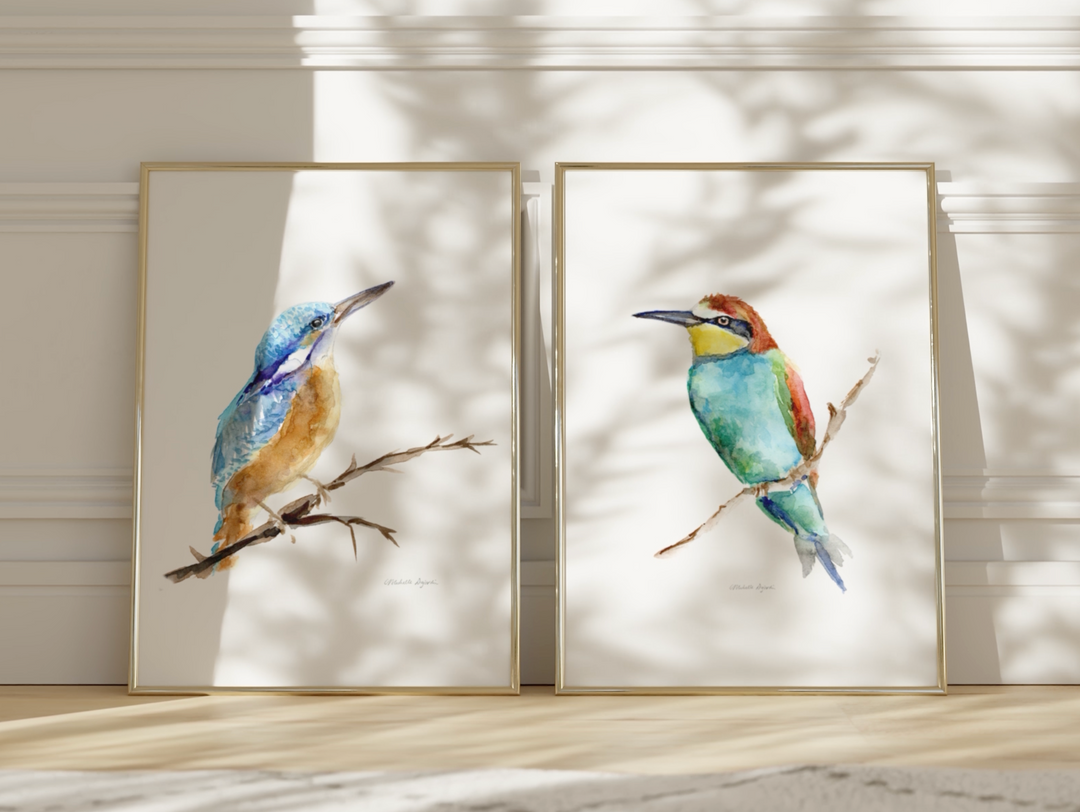 bee eater king fisher watercolor set