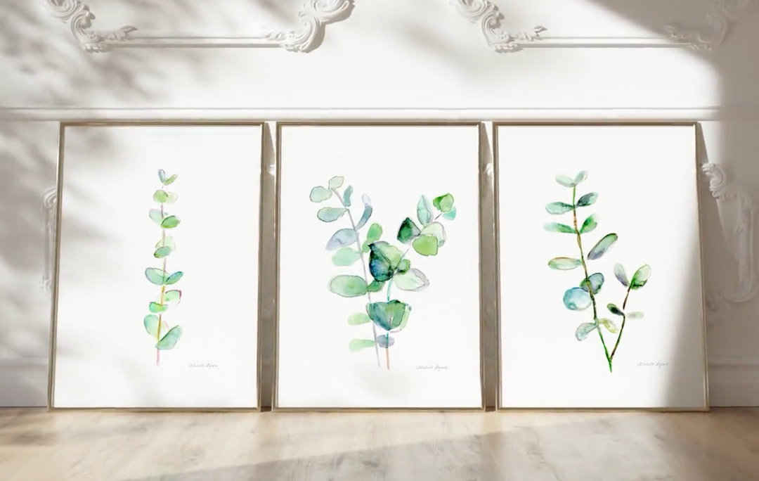 eucalyptus art video