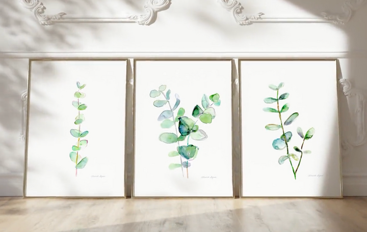 eucalyptus art video