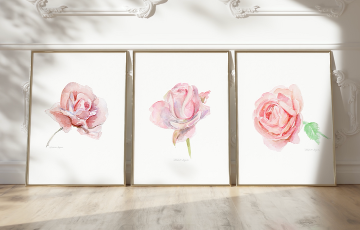 Pink roses watercolor paintings