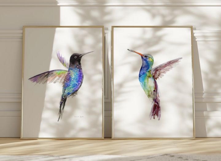 blauwe kolibrie aquarel set video