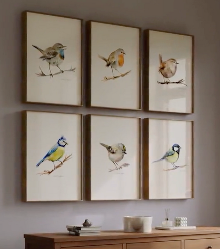 garden birds art video