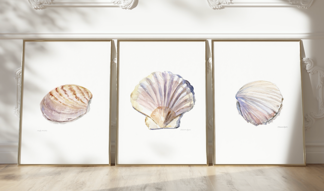 Seashell Watercolor Art Print Set of 3