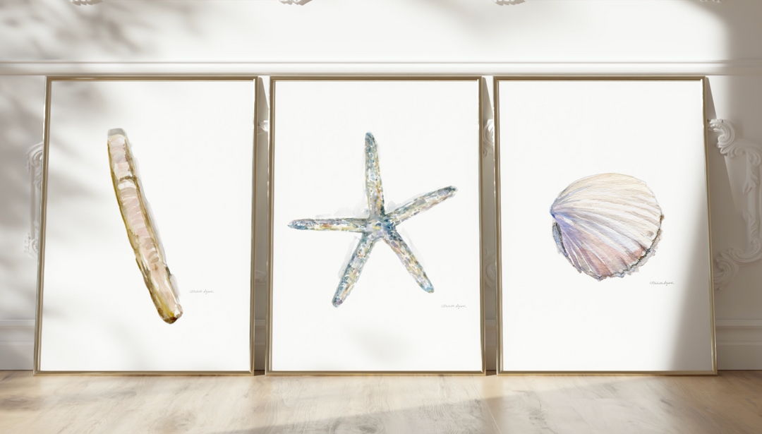 Schelpen Aquarel Print Set van 3 – Zeester & Scheermesje schelp 