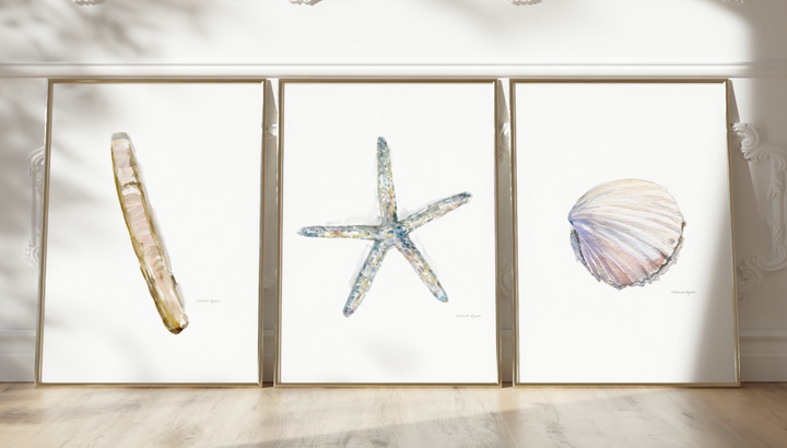 Schelpen Aquarel Print Set van 3 – Zeester & Scheermesje schelp 