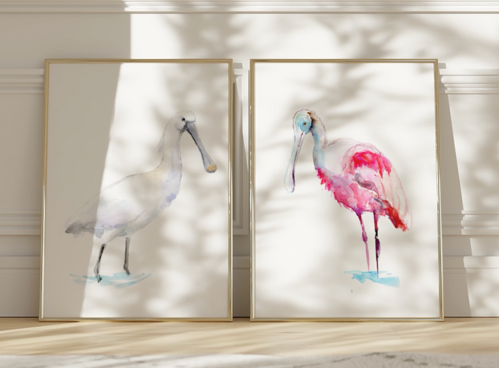 spoonbill art video
