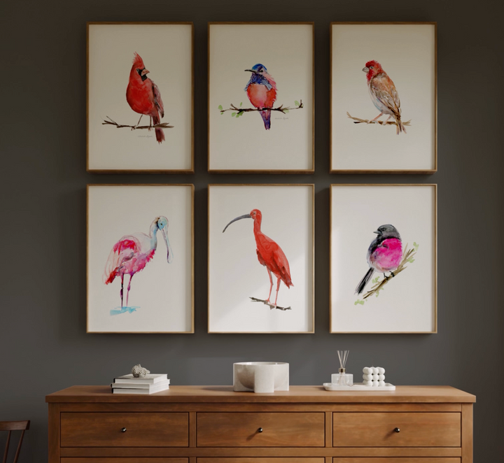 red pink bird set