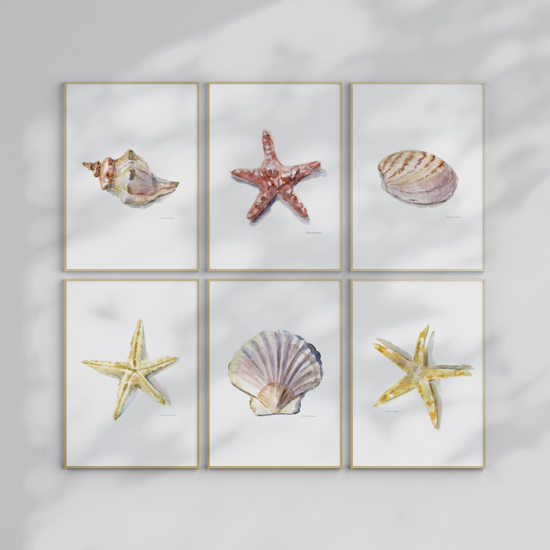 Six starfish and seashells print set