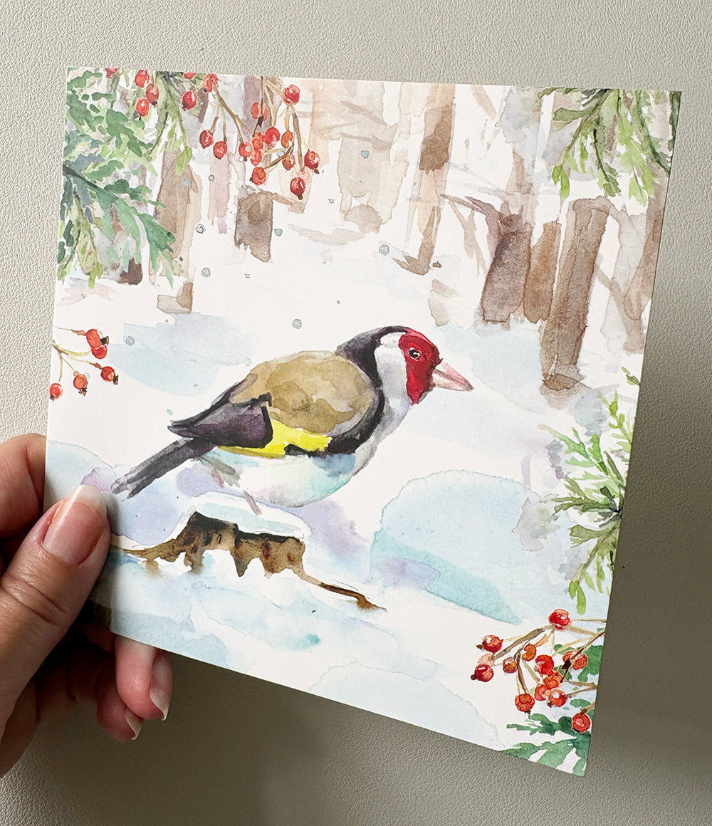 Greeting cards 'Winter Birds' by Michelle Dujardin (2026 release) with kingfisher