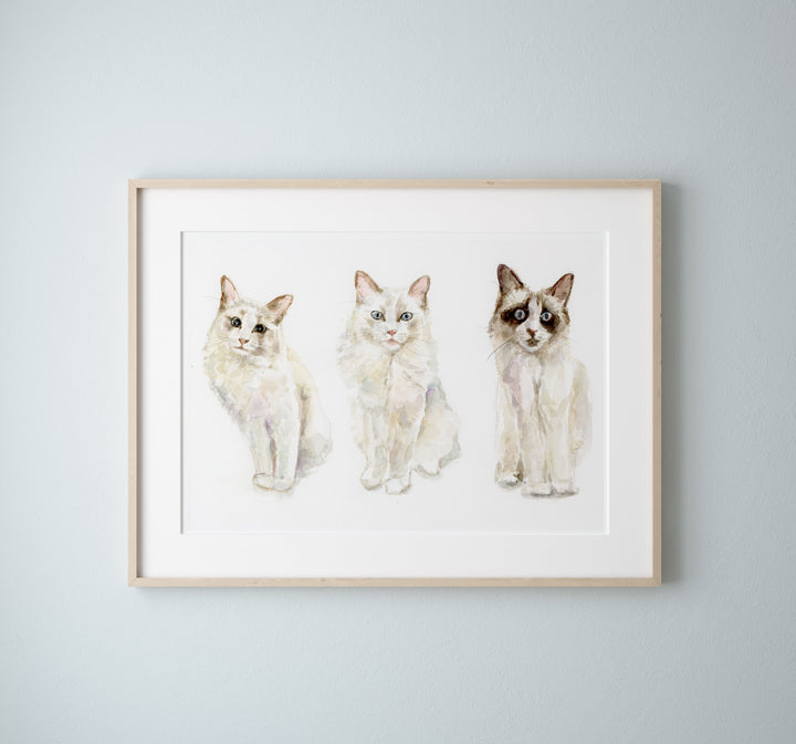 Kat schilderij in opdracht