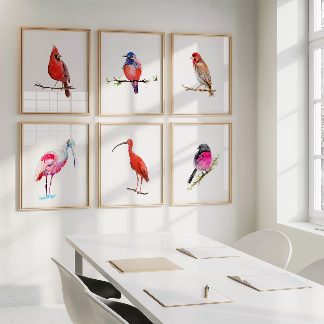 6 Framed red pink bird artworks on a wall above a table in a bright room.