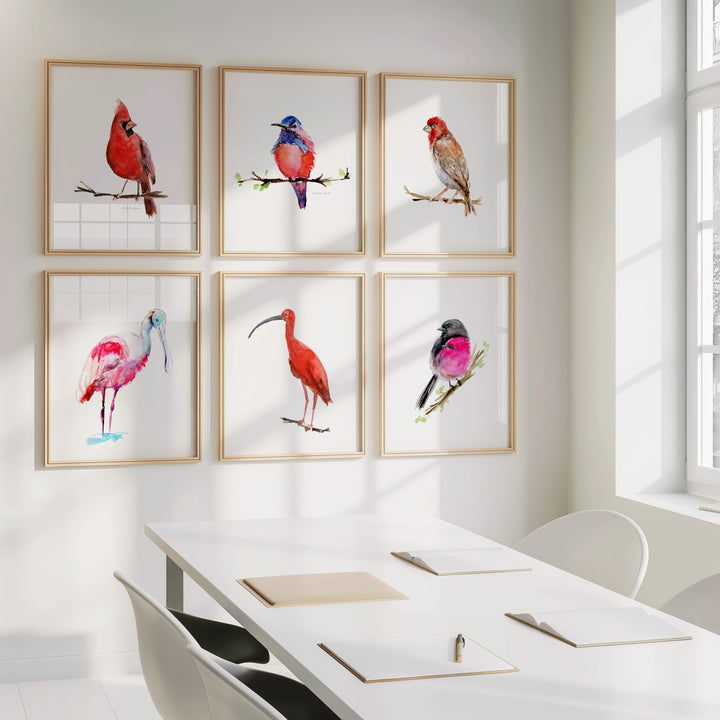 6 Framed red pink bird artworks on a wall above a table in a bright room.