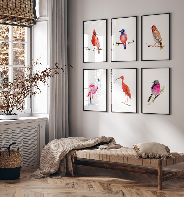 Kamer met rood roze vogels in zwarte lijsten