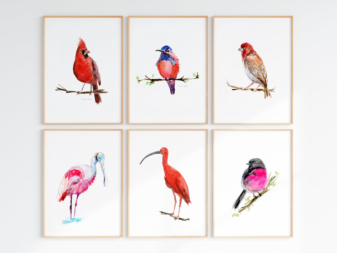 Set van 6 rode en roze vogel schilderijen in houten lijstje