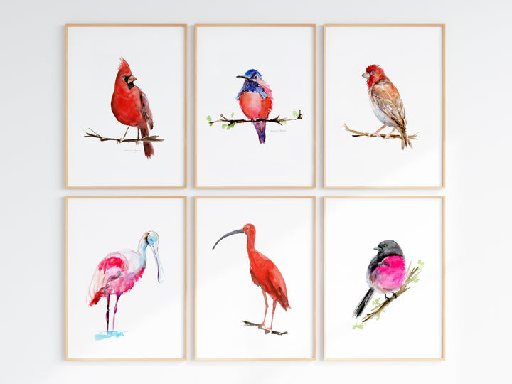 Set van 6 rode en roze vogel schilderijen in houten lijstje