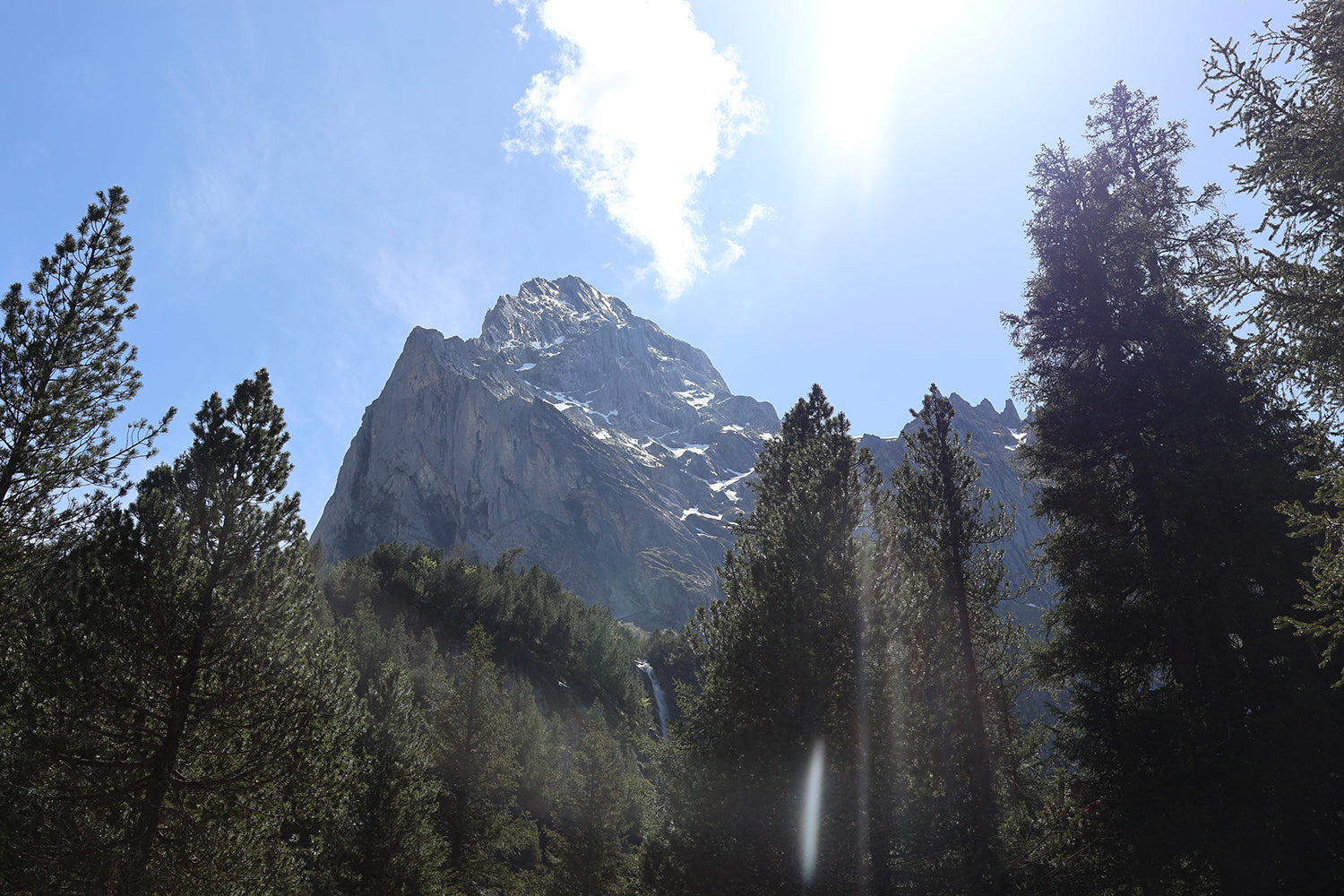 A scenic landscape photograph of a rugged mountain peak rising above a dense evergreen forest under a bright blue sky with the sun shining brightly.