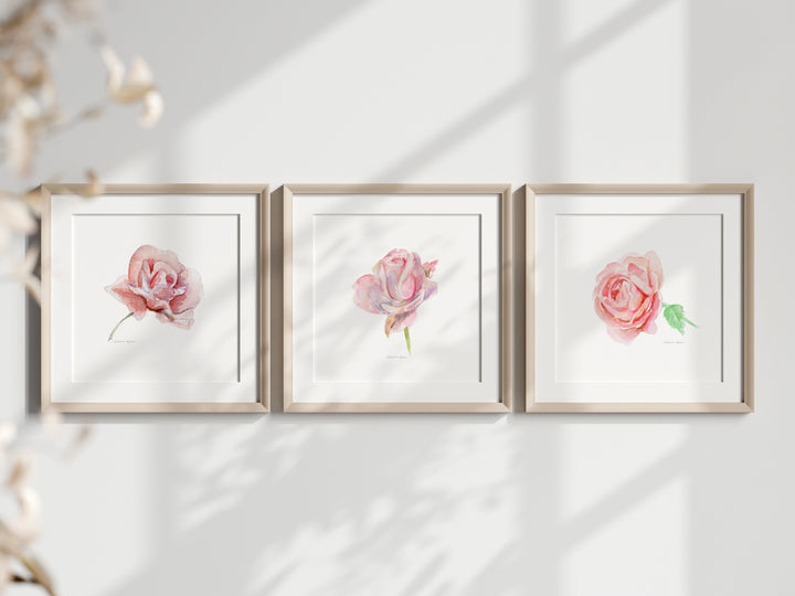 Prinst van roze rozen in licht houten lijsten aan de muur