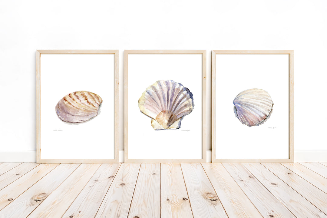 Set van 3 schelpen aquarel prints in licht houten lijsten op houten vloer.