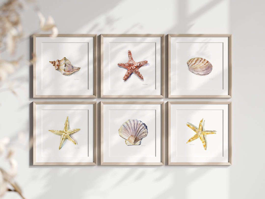 Set van 6 vierkante lijsten met schelpen en zee aquarellen