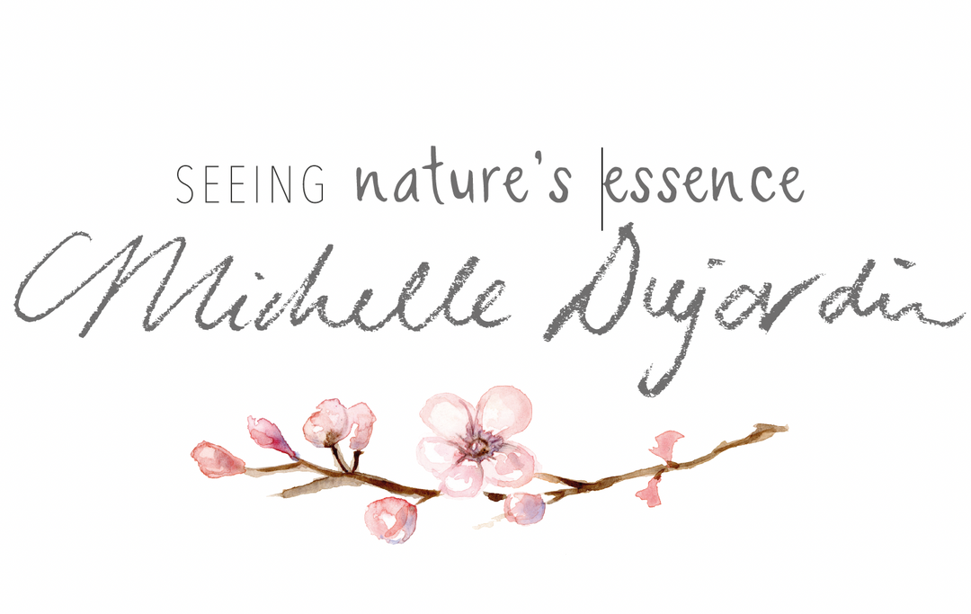 logo van Michelle Dujardin
