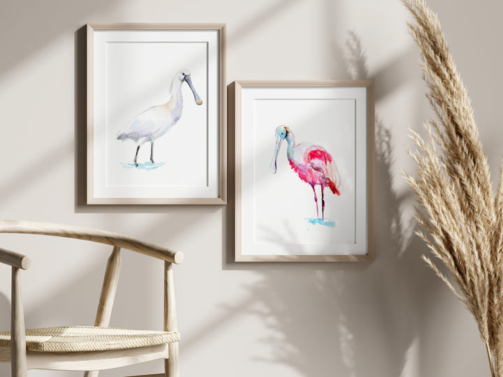 Two framed prints of spoonbill birds on a wall with a chair and dried plants.