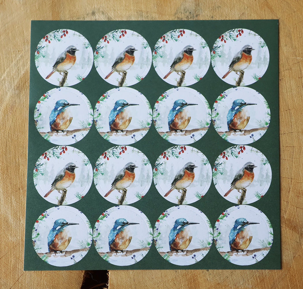 Wenskaarten Wintervogels met ijsvogel (2025) i.s.m Vogelberscherming Nederland