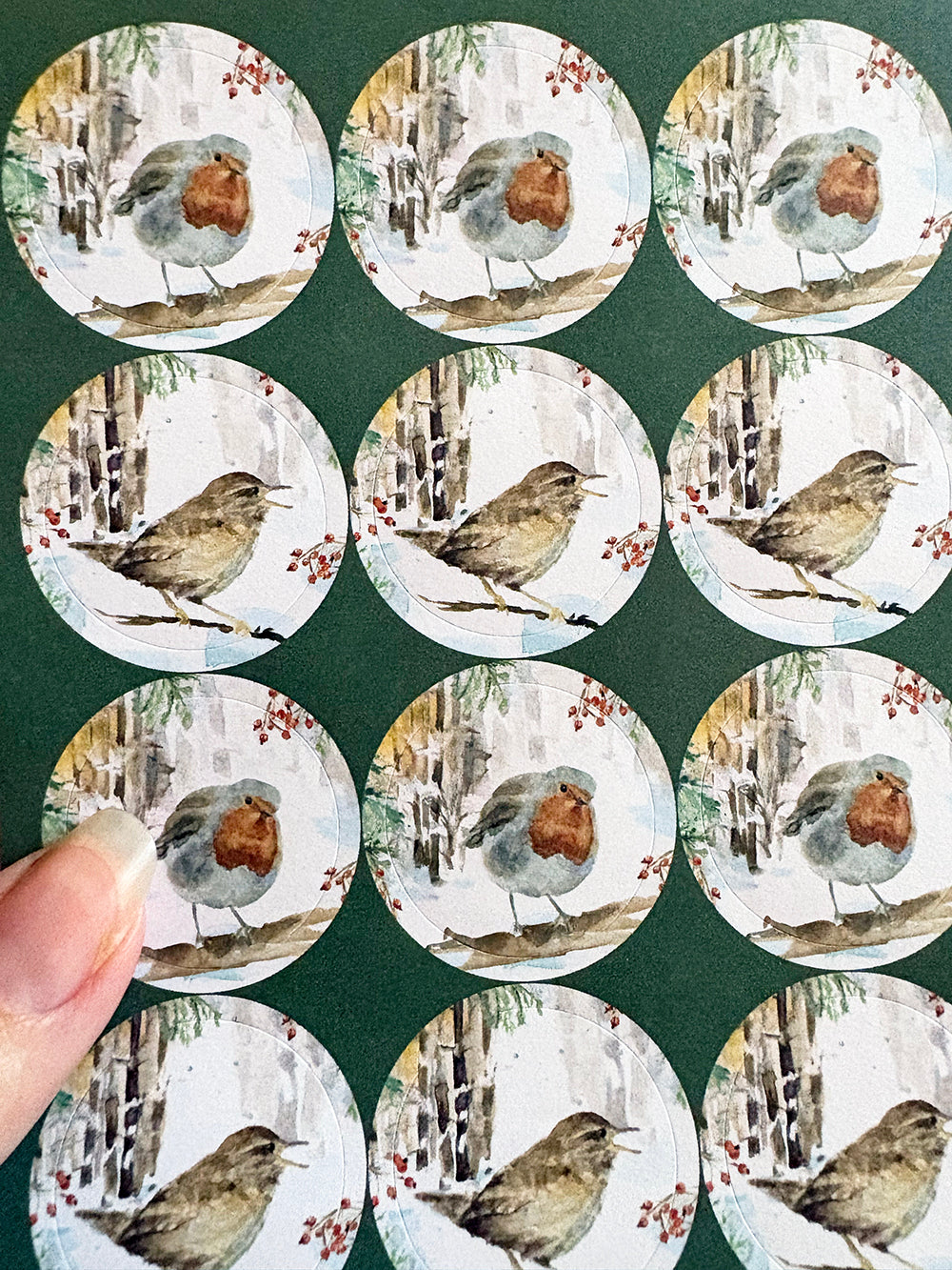 Greeting cards 'Winter Birds' by Michelle Dujardin (2026 release) with kingfisher