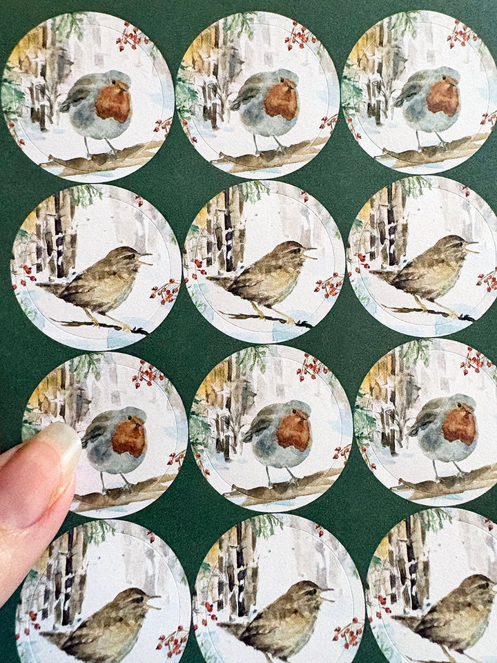 Greeting cards 'Winter Birds' by Michelle Dujardin (2026 release) with kingfisher