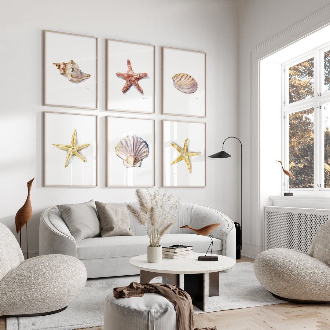 Moderne woonkamer met schelp en zeester kunst printsboven bank