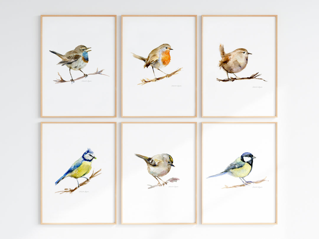 6 lijsten met vogels: roodborst, blauwborst, winterkoning, pimpelmees, goudhaantje en koolmees