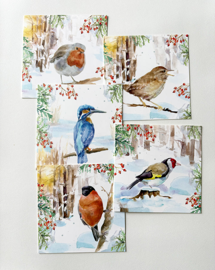 Greeting cards 'Winter Birds' by Michelle Dujardin (2026 release) with kingfisher
